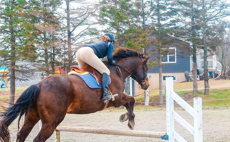 Reaching Strides Equestrian Centre, Port Hood, Cape Breton, Nova Scotia