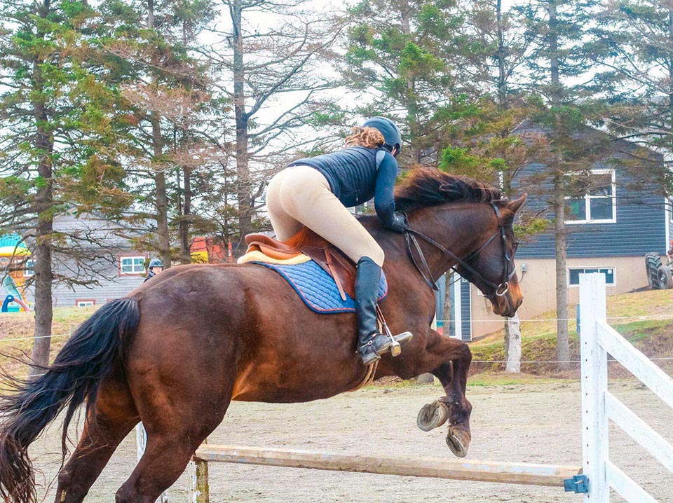 Reaching Strides Equestrian Centre, Port Hood, Cape Breton, Nova Scotia