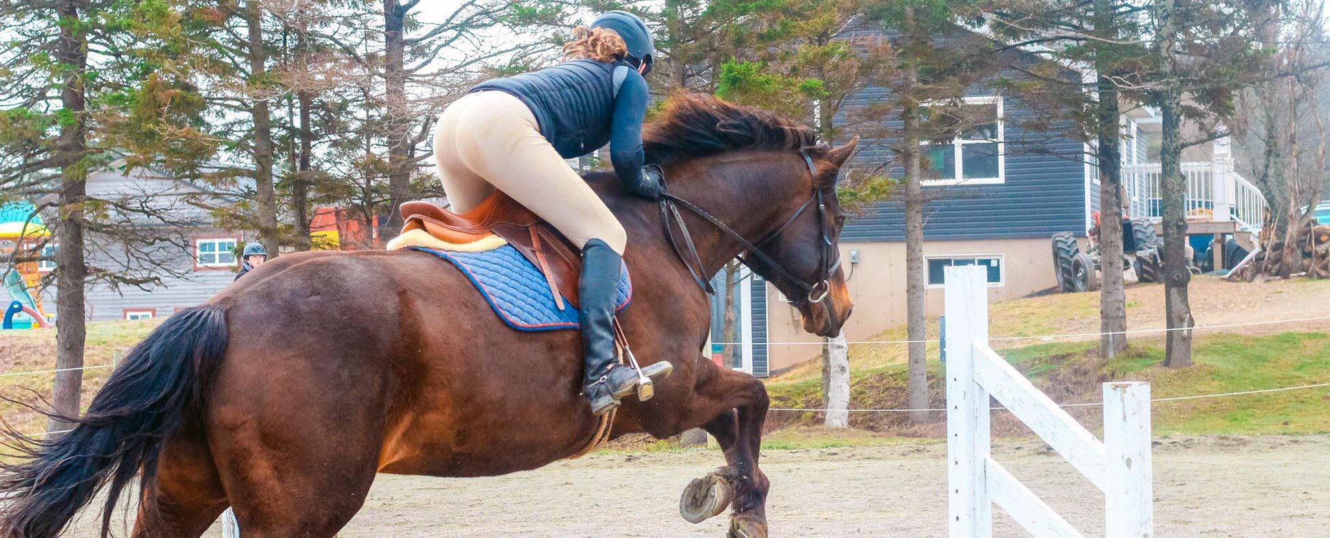 Reaching Strides Equestrian Centre, Port Hood, Cape Breton, Nova Scotia