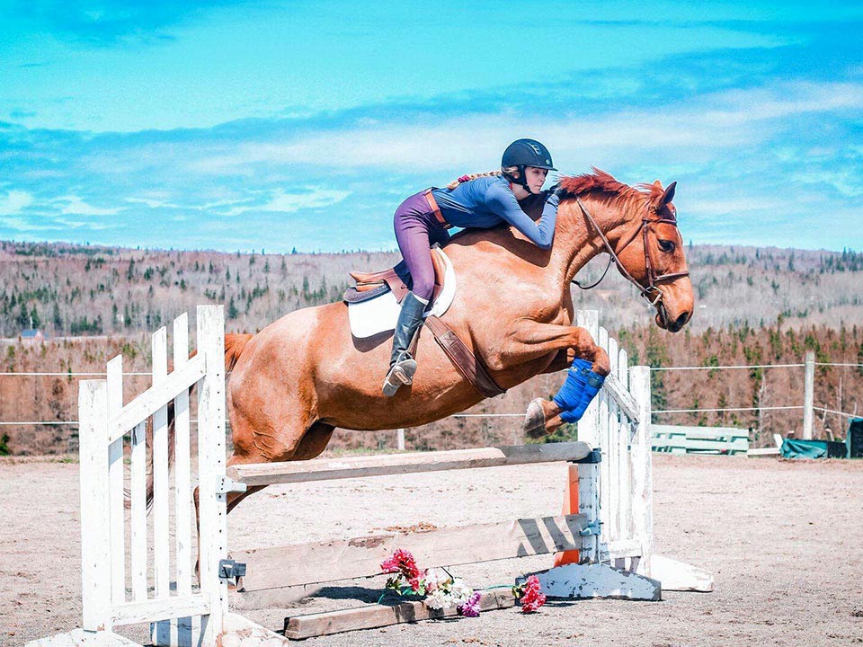 Reaching Strides Equestrian Centre, Port Hood, Cape Breton, Nova Scotia