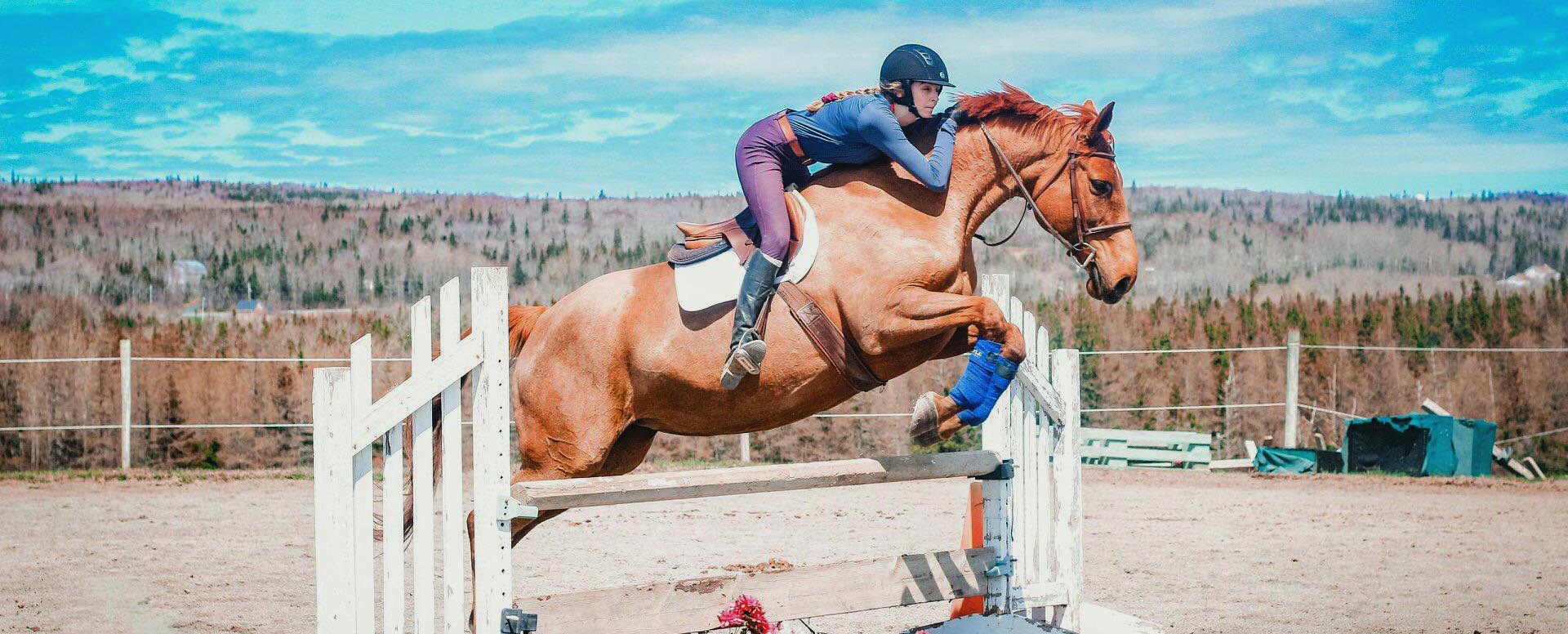 Reaching Strides Equestrian Centre, Port Hood, Cape Breton, Nova Scotia