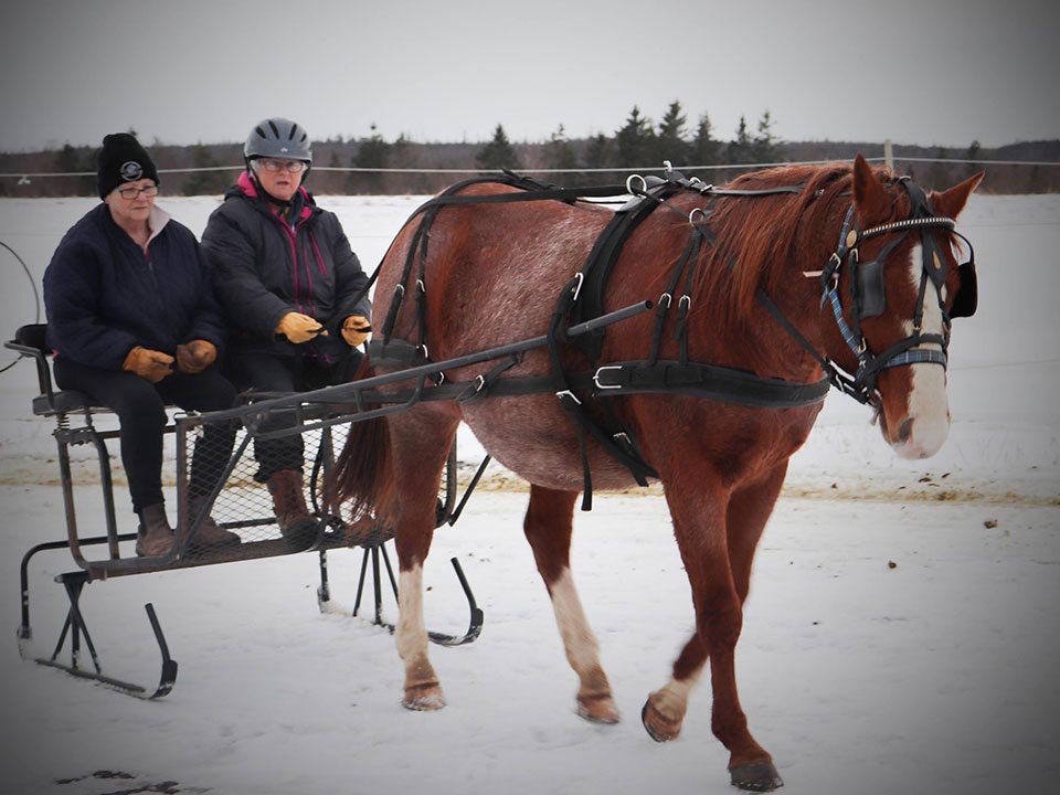 Reaching Strides Equestrian Centre, Port Hood, Cape Breton, Nova Scotia