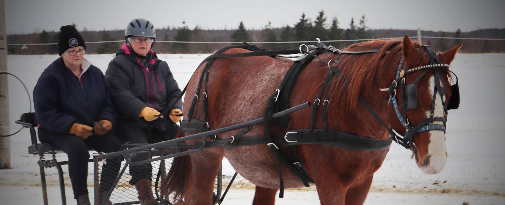 Reaching Strides Equestrian Centre, Port Hood, Cape Breton, Nova Scotia