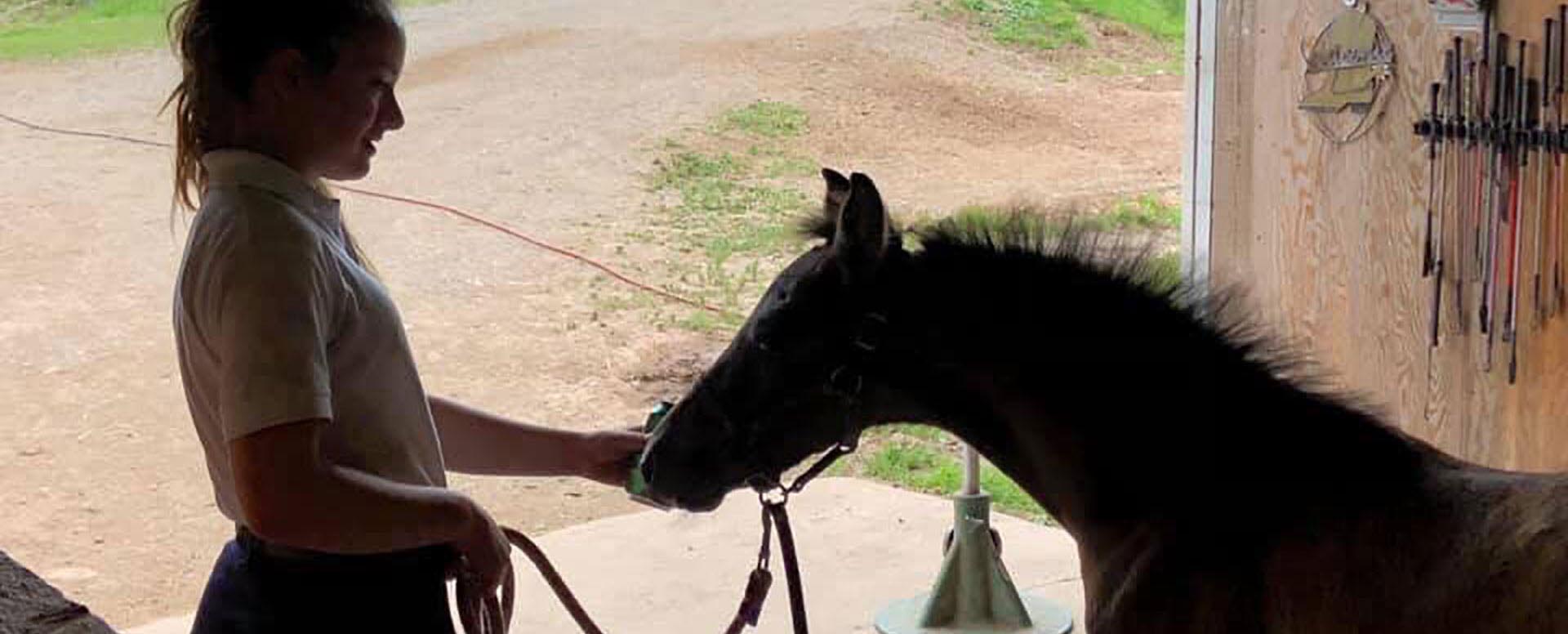 Reaching Strides Equestrian Centre, Port Hood, Cape Breton, Nova Scotia