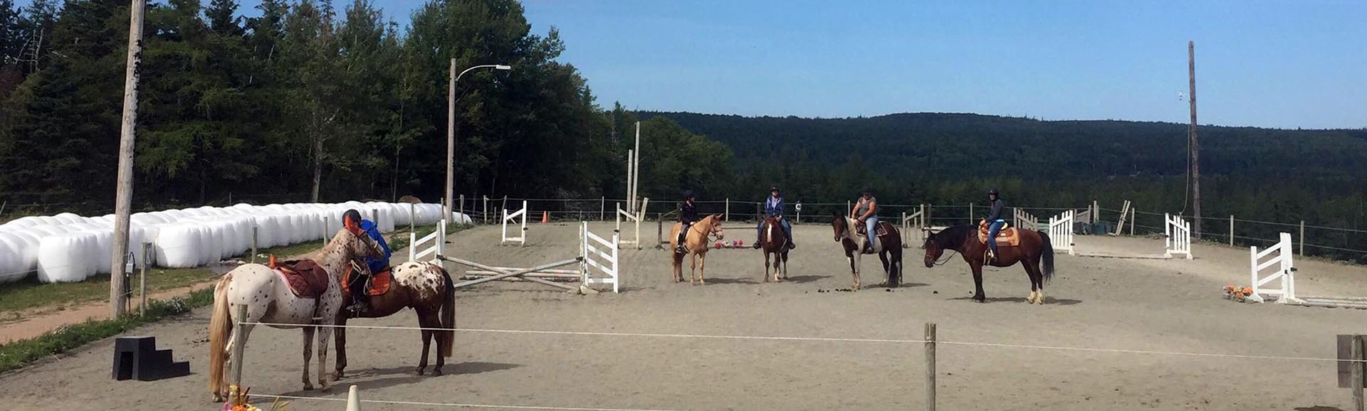 Reaching Strides Equestrian Centre, Port Hood, Cape Breton, Nova Scotia