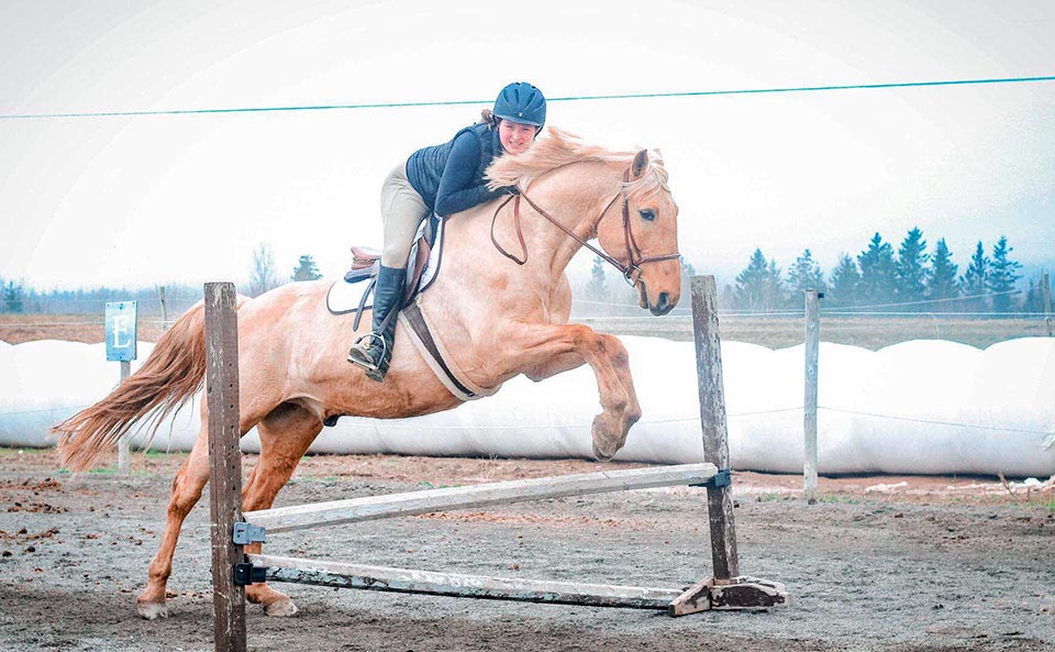 Reaching Strides Equestrian Centre, Port Hood, Cape Breton, Nova Scotia