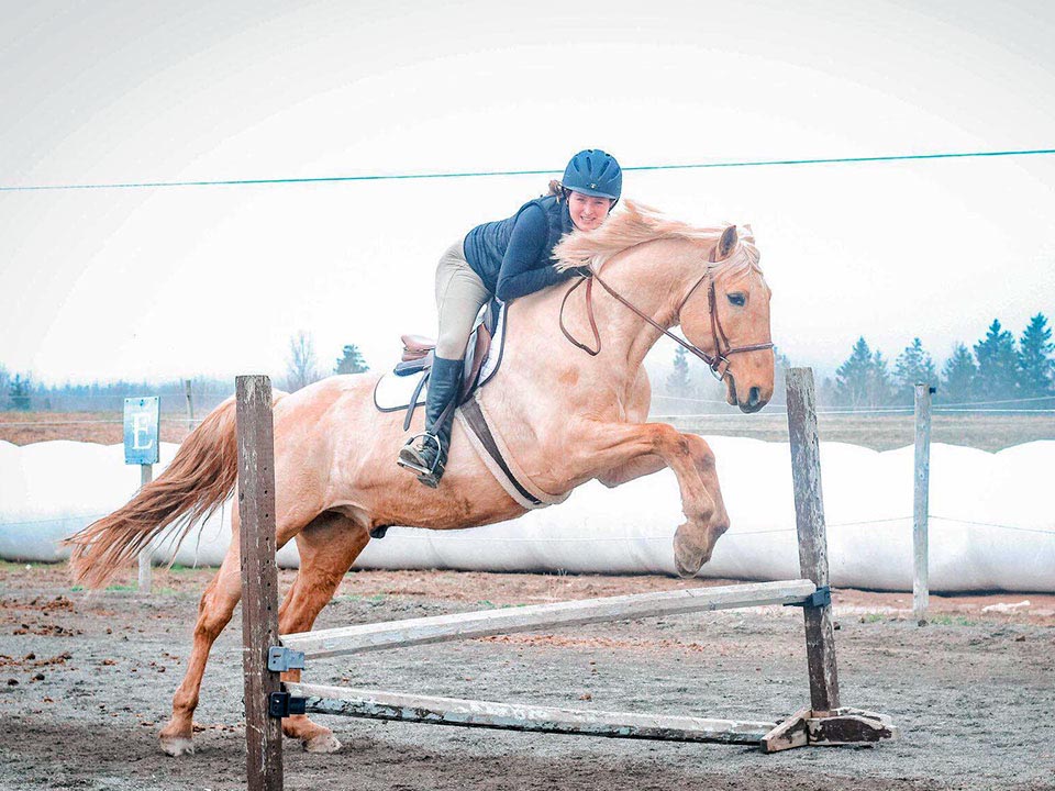 Reaching Strides Equestrian Centre, Port Hood, Cape Breton, Nova Scotia