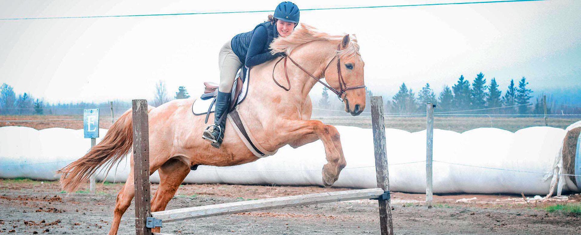 Reaching Strides Equestrian Centre, Port Hood, Cape Breton, Nova Scotia