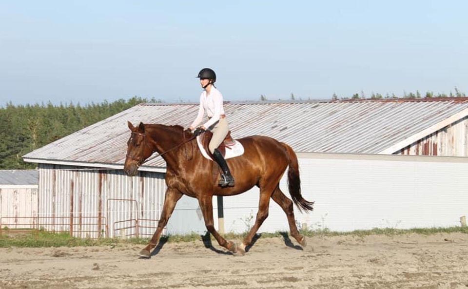 Reaching Strides Equestrian Centre, Port Hood, Cape Breton, Nova Scotia