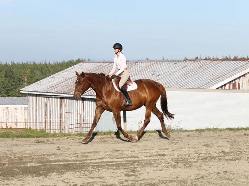 Reaching Strides Equestrian Centre, Port Hood, Cape Breton, Nova Scotia