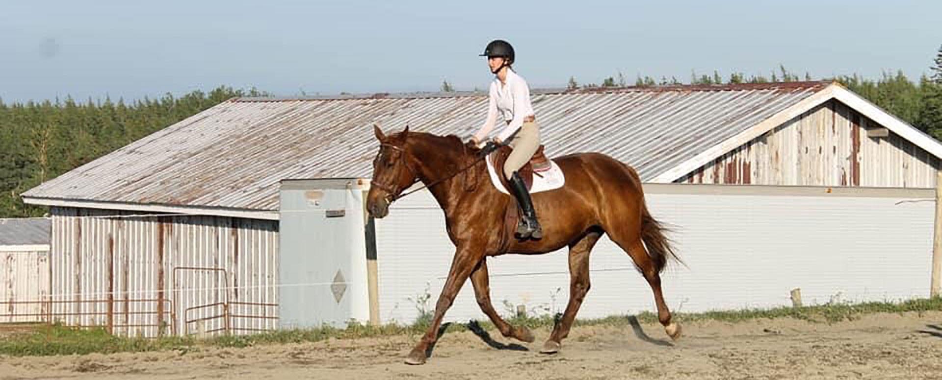 Reaching Strides Equestrian Centre, Port Hood, Cape Breton, Nova Scotia