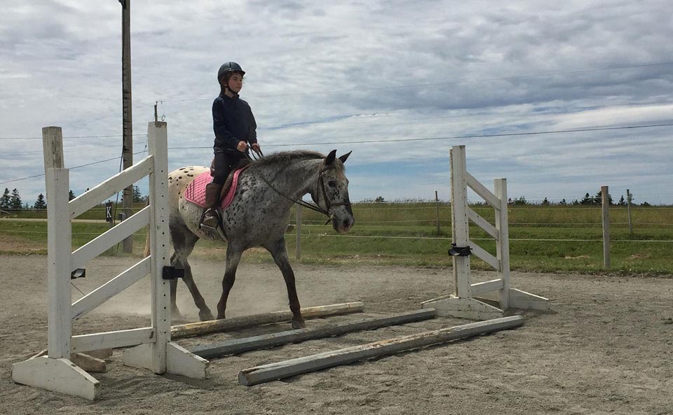 Reaching Strides Equestrian Centre, Port Hood, Cape Breton, Nova Scotia