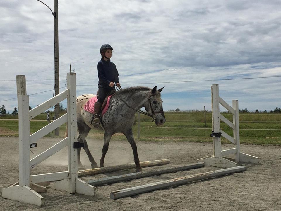 Reaching Strides Equestrian Centre, Port Hood, Cape Breton, Nova Scotia