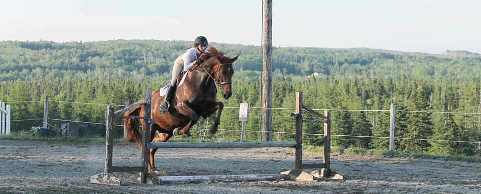 Reaching Strides Equestrian Centre, Port Hood, Cape Breton, Nova Scotia