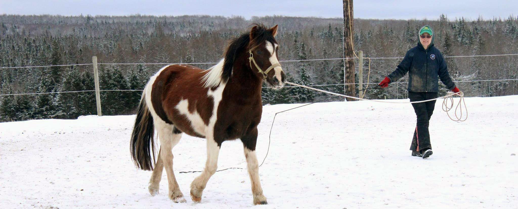 Reaching Strides Equestrian Centre, Port Hood, Cape Breton, Nova Scotia