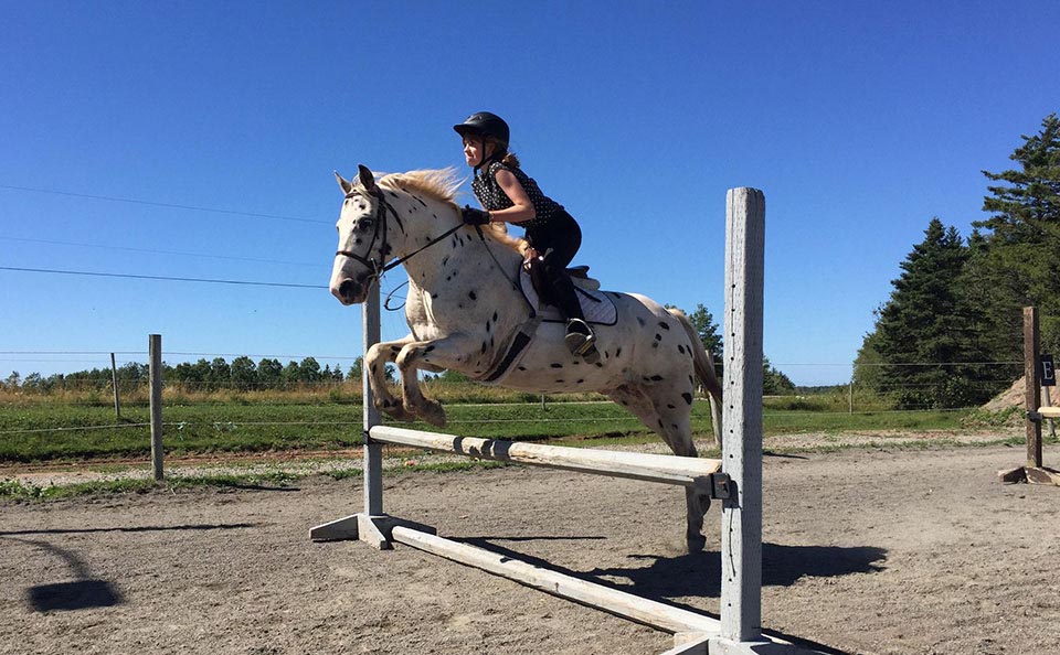 Reaching Strides Equestrian Centre, Port Hood, Cape Breton, Nova Scotia