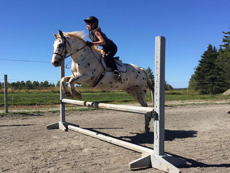 Reaching Strides Equestrian Centre, Port Hood, Cape Breton, Nova Scotia