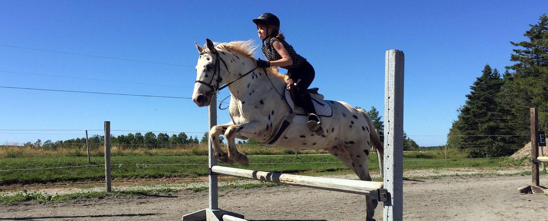 Reaching Strides Equestrian Centre, Port Hood, Cape Breton, Nova Scotia